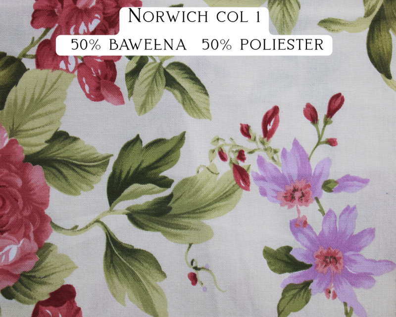 Norwich col 1